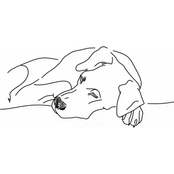 Plakát Plakát Odpočinek Pejska bez rámu 29,7 x 21 cm