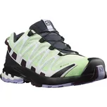 Salomon Xa Pro 3D v8 GTX W - zelená/fialová 36 2/3