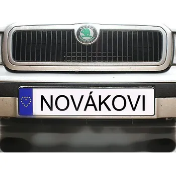 Svatební dekorace Svatební SPZ - vlastní text