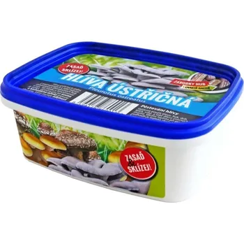 Sazenice Hlíva ústřičná 250ml