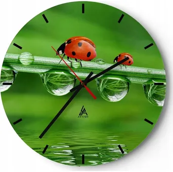 Hodiny Nástěnné hodiny do kuchyně 30x30 Beruška Skleněné hodiny do obýváku Tiché