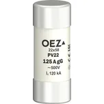 OEZ PV22 125A gG 18271