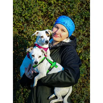 Čelenka Tvarovaná čelenka modrá č.3 4dox