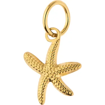 Přívěsek Přívěsek hvězda