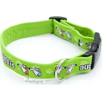 Obojek pro psa Pamlskový Ráj Obojek pro psa - australský ovčák Barva: zelená - Aussie