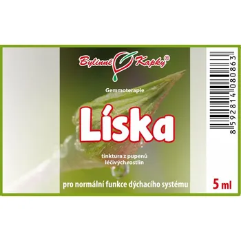 Doplněk stravy Bylinné kapky s.r.o. Líska - tinktura z pupenů (gemmoterapie) 5 ml | Bylinné kapky