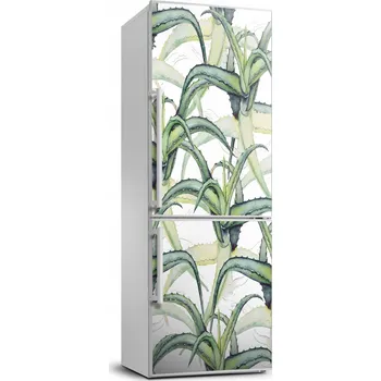 Fototapeta Samolepicí fólie / Fototapeta na ledničku Aloe 70x190 cm