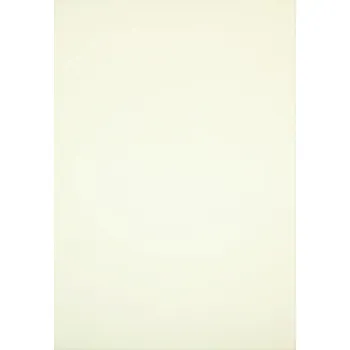 Kancelářský papír Papír A4 Pankadisc 390 g/m2 20 listů