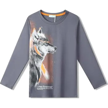 Chlapecké tričko CHLAPECKÉ TRIČKO S VLKEM DT9368 Velikost: 164/170, Barva: Šedá