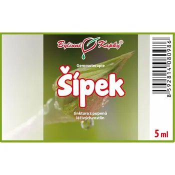 Doplněk stravy Bylinné kapky s.r.o. Šípek - tinktura z pupenů (gemmoterapie) 5 ml | Bylinné kapky
