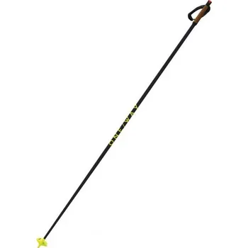 Běžkařská hole Oneway STORM 6 MAG DARK 2024/25