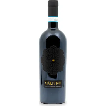 Víno Vigneti Calitro | Primitivo di Manduria Ausilio DOP RISERVA | 2019 | 0,75 l