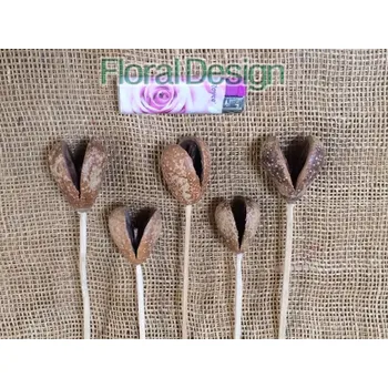 Bagon fruit na stopce 15 ks natur