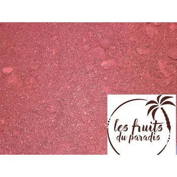 Sušené ovoce Černý rybíz prášek BIO 5 kg Les Fruits du Paradis