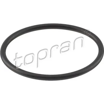 Automobilové těsnění Těsnění, termostat TOPRAN 104 534 001