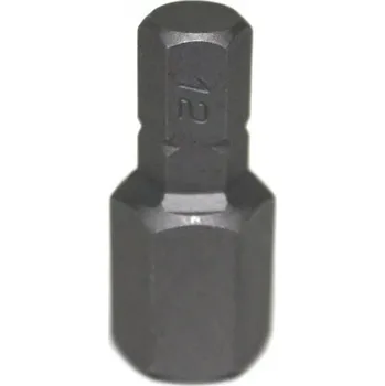 Bit Bit Imbus, úchyt 5/16", délka 30 mm, různé velikosti - JONNESWAY, Velikost: H14