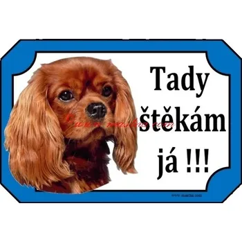 Značení Cedulka kavalír king Charles španěl ruby 2 - Bez samolepicí vrstvy