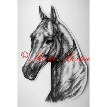 Samolepka achaltekinec, kůň turkmenský, achal-teke, koně c437 - Malá - přibližně jako pohlednice