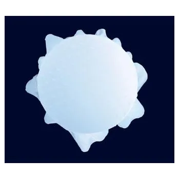 DVD film Cha Bud: Nice To Eat You - Cha Bud