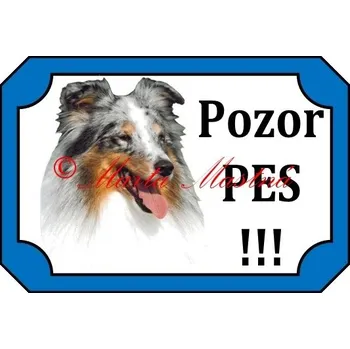 Cedulka šeltie blue 2 - Bez samolepicí vrstvy