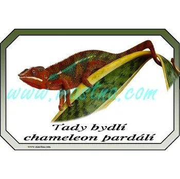 Chameleon pardálí cedulka - Bez samolepicí vrstvy