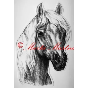 Samolepka hafling, kůň, koně - Malá - přibližně jako pohlednice