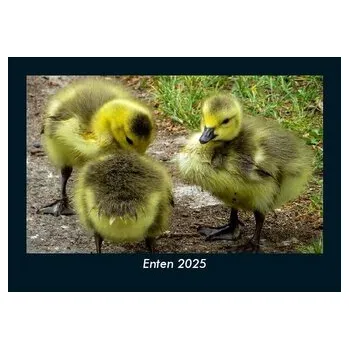 Příroda Enten 2025 Fotokalender DIN A5 - Becker, Tobias