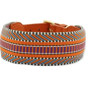 Obojek pro psa Kombinovaný barevný kožený obojek - pevný Barva: Oranžová, Velikost: 26 - 32 cm
