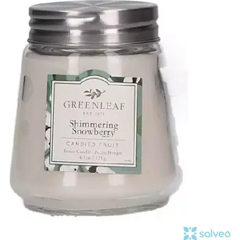 Vonná tyčinka Svíčka vonná Shimmerign Snowberry Greenleaf 123 g