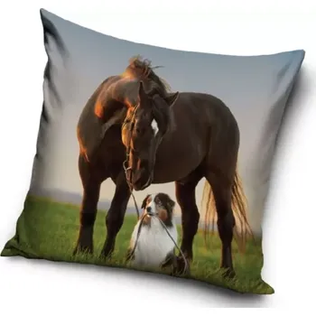 Povlak na dekorativní polštářek Povlak na polštářek Kůň a Border Kolie 40 x 40 cm Kůň a Border Kolie