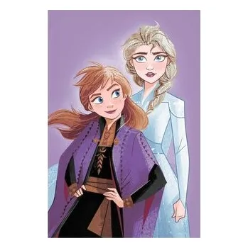 Dětský pokoj Jerry Fabrics Mikroflanelová deka Frozen Purple 05 100x150 cm