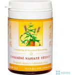 Uvolnění napjaté tětivy 112 TCM Herbs 100 tablet