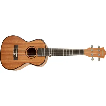 Ukulele CASCHA HH 2035E