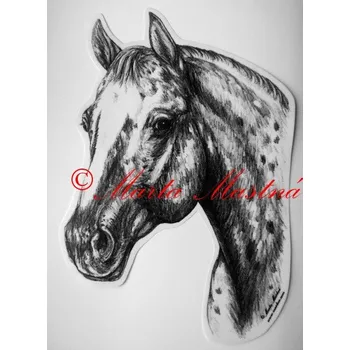 Samolepka appaloosa, western, kůň, koně c347 - Malá - přibližně jako pohlednice