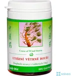 Utišení větrné bouře 064 TCM Herbs 100 tablet