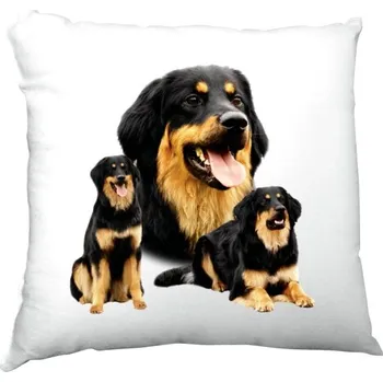 Pánské tričko Polštář saténový s potiskem Hovawart