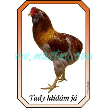 Araukana kohout, cedulka drůbež hlídám - Bez samolepicí vrstvy