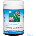 Vyvanutí dračí jeskyně 007 TCM Herbs 100 tbl.