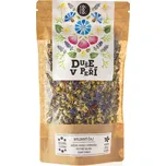 Čaj duše v peří 50 g KOLDOKOL