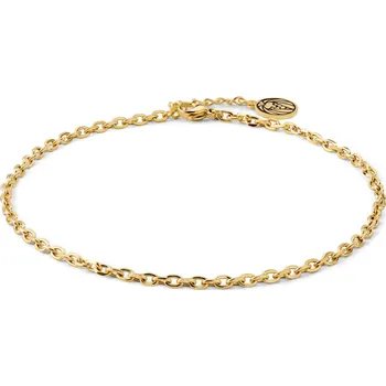 Řetízek Pánský očkový řetízek na nohu z nerezové oceli zlaté barvy - Lucleon