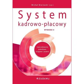 System kadrowo-płacowy - Michał Biernacki