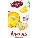 Ananas sušený mrazem 20 g ROYAL PHARMA®