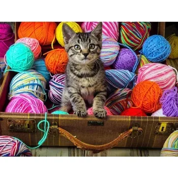 Diamantové malování Kreativní diamantové malování s motivem kotěte, které spojuje umění, klid a radost z tvoření. Zářivý obraz potěší malé i velké milovníky koček.