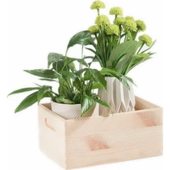 Stůl na stolní tenis Box Domoletti 508100, 210mm x 120mm