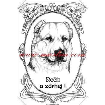 Cedulka asiat, středoasijský pastevecký pes ovál - Bez samolepicí vrstvy