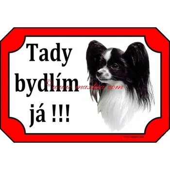 Cedulka papilon, motýlek černý 2 - Bez samolepicí vrstvy