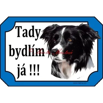 Cedulka border kolie střapatá - Bez samolepicí vrstvy