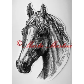 Samolepka kůň teplokrevník, koně c267 - Malá - přibližně jako pohlednice