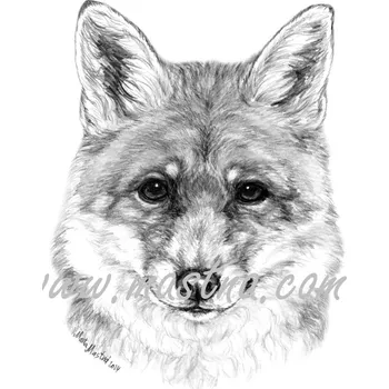 Samolepka liška c663 - Malá - přibližně jako pohlednice