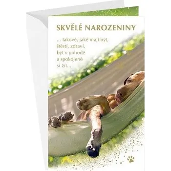 ARGUS Přání k narozeninám 15-6552c